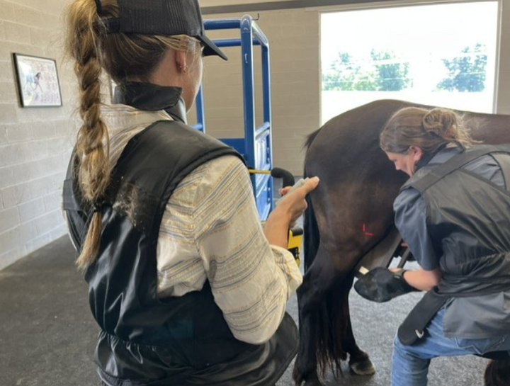 USDA Certified Veterinarian