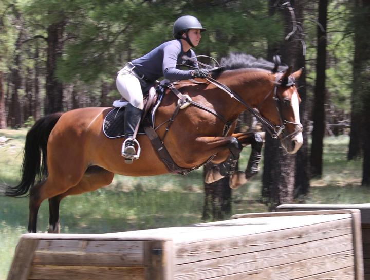 $city equine sports medicine